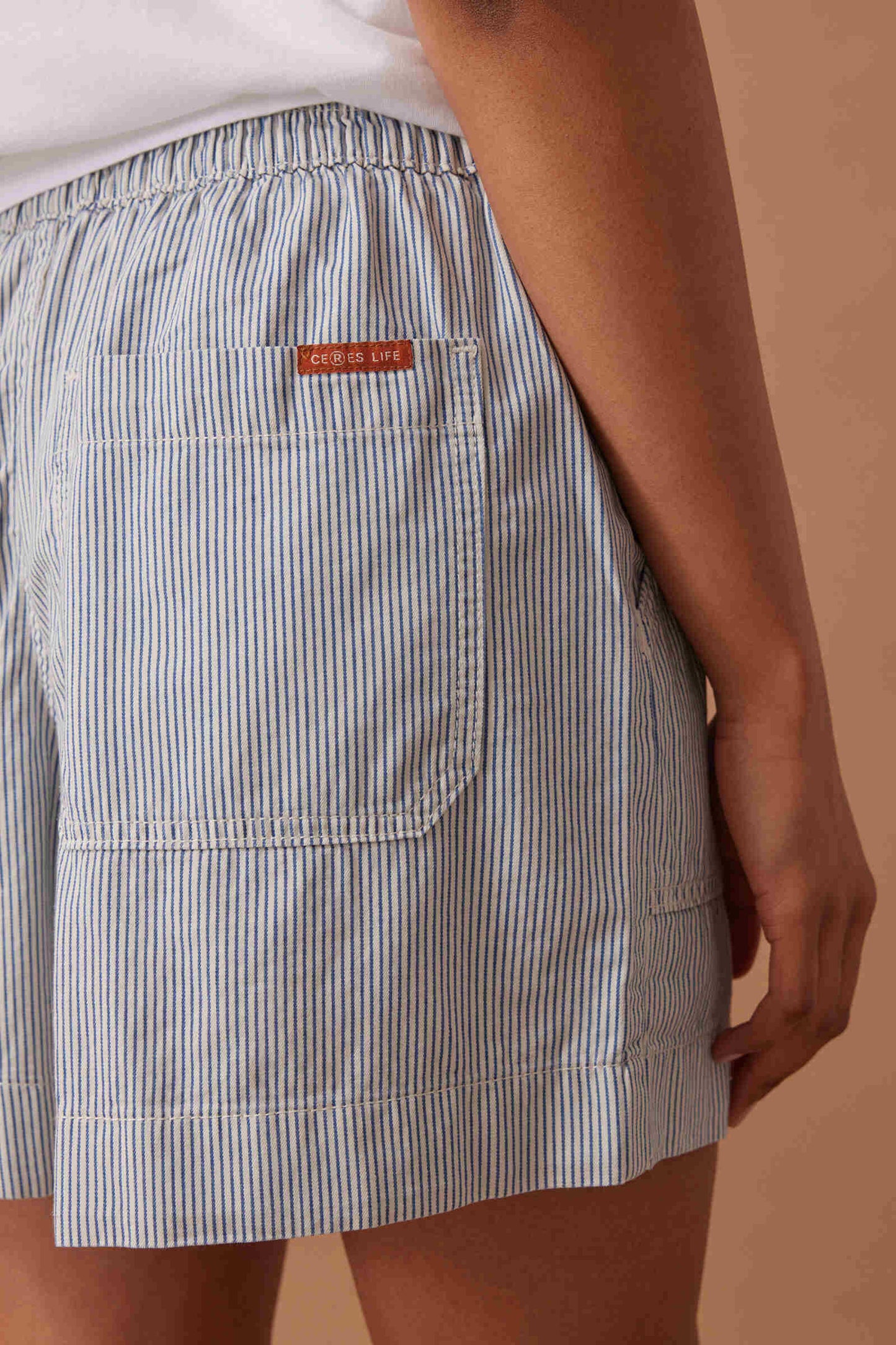 Weekender Short - Blue Stripe