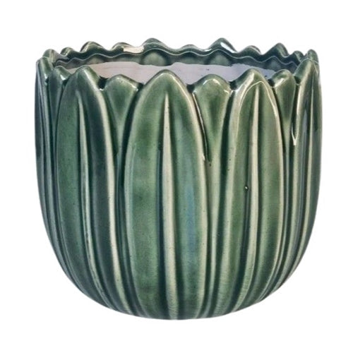 Daintree Planter - 17cm