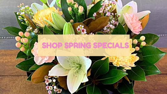 Spring has Sprung - What’s New & on Sale this month
