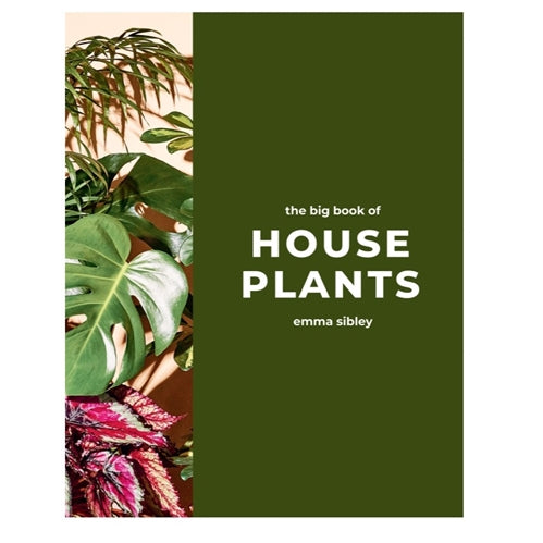 The Big Book of House Plants