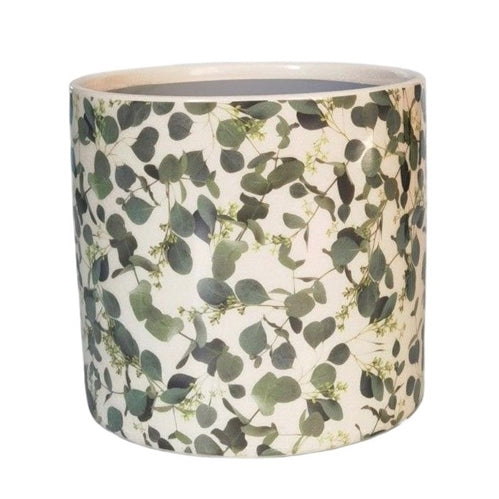 Eucalypt Foliage Planter - 17cm