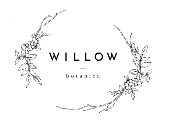 Willow Botanica