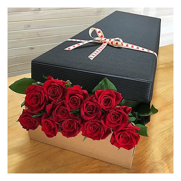 Red Rose Presentation Box